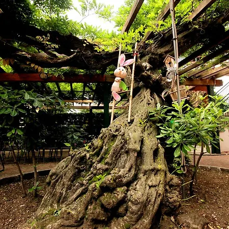 Maggiore - Italia Aparthotel