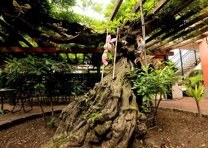 Maggiore - Italia Aparthotel 3*