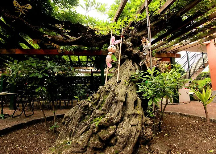 Maggiore - Italia Апарт-отель